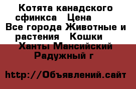 Котята канадского сфинкса › Цена ­ 15 - Все города Животные и растения » Кошки   . Ханты-Мансийский,Радужный г.